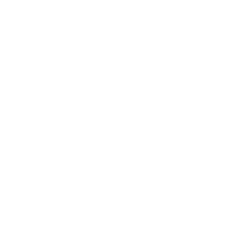 No Alarms logo