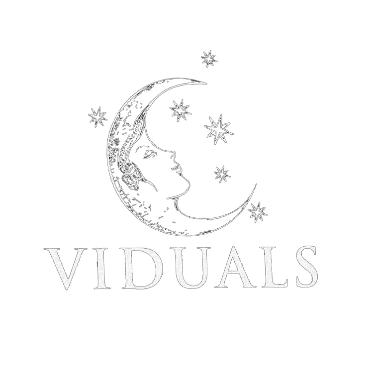 Viduals band logo